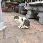 Photo taken by Allison M