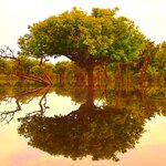 Photo taken by Dennis H