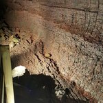 Photo taken by Wanda H