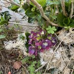 Photo taken by Catherine H