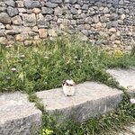 Photo taken by Vivianh H