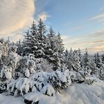 Photo taken by madison r