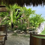 Photo taken by Juliette S