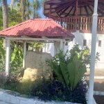 Photo taken by Camille S