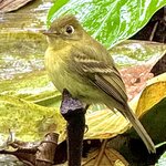 Photo taken by Mary D