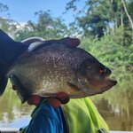 Photo taken by Lee B