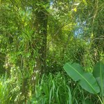 Photo taken by Darla D