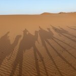 Photo taken by Roselyne V