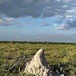 Photo taken by Peter L