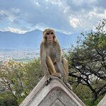 Photo taken by Willow K