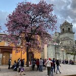 Photo taken by Martin S