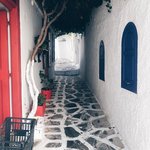 Photo taken by Bill R