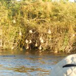 Photo taken by Linette B