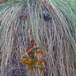 Photo taken by Daisy B