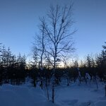 Photo taken by Monique V