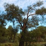 Photo taken by Sean M