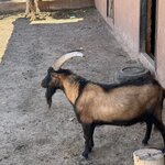 Photo taken by Colin L