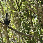 Photo taken by Lisa S