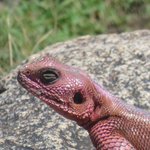 Photo taken by Kristin M