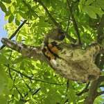 Photo taken by Peter F