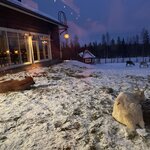 Photo taken by chelsea t