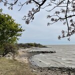 Photo taken by Rachel P