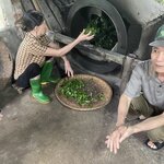 Photo taken by Lindy S