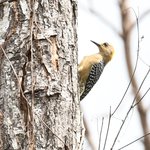 Photo taken by Graeme W