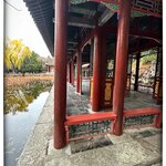 Photo taken by Fiona C