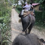 Elephant Safari | Photo taken by matthew h