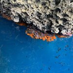 Photo taken by Amy G