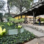 Photo taken by LaTasha J