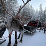 Photo taken by Alison D