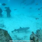 Photo taken by Stephanie A