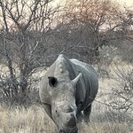 Photo taken by Janie W