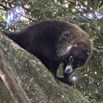 Photo taken by Bert B