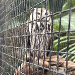 Photo taken by Kathy .