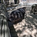 Photo taken by Greg L