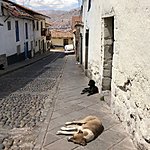 Bien ninos | Photo taken by Katie H