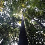 Photo taken by Dion F