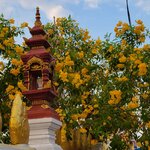 Photo taken by sarah p