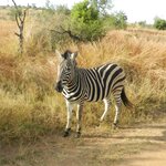 Photo taken by Linette B