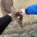 Photo taken by Hanna W