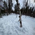 Photo taken by chelsea t