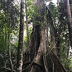 Photo taken by Ayca A