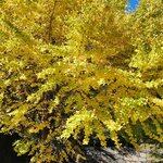 Photo taken by Zulhelmi R