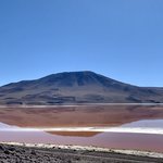 Laguna colorada | Photo taken by Flaminia R
