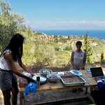 Setting Up Lunch; My Precious Olive Tree | Photo taken by Tom B