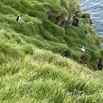 Photo taken by Paula V