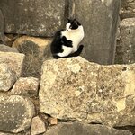 Photo taken by Betsy V